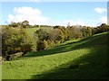 Cwm south of Llanfair