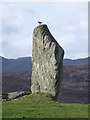 NB2132 : Skylark singing, Callanais stones by sylvia duckworth