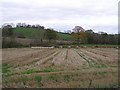 Bales at Drumbee