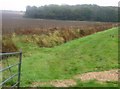 Farmland near Withybed Copse