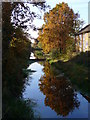 Basingstoke Canal