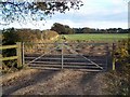 Field Near Ellardine Heath