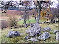 Looking down from Tannachy