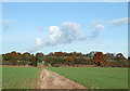 Bridleway over Crop Fields, near Haughton, Shropshire