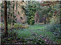 Bridleway through Woodhousefield Plantation, Shropshire