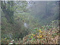 Flooded ditch on the lane from Adeney