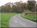 Country road winds around the forest edge