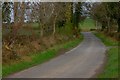 The Carrick Road near Loughbrickland