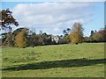 View across parkland near Wardour