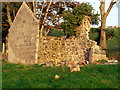 J0241 : Derelict Cottage, Ballyshiel Road, Tandragee by P Flannagan