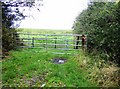 Farmland near Hamstead