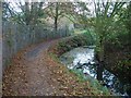 Path along stream