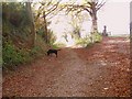 Footpath between Tytherington and Corton