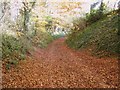 Bridleway to Barrow Hill