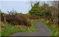 The Ardigon Road near Killyleagh