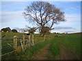 Field corner on Bridleway south of Low Farm