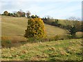 Mundaydean Bottom