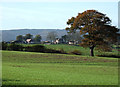 Crop Fields near Aston Botterell , Shropshire