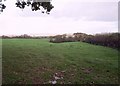 Field near Hornacott Farm