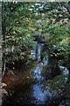 Afon Troddi/River Trothy