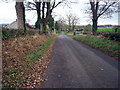 J1458 : Feney Road off Steps Road, Magheralin by P Flannagan