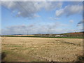 Power lines crossing in the middle distance