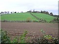 Marrassitt or College Hall Townland