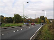TQ3992 : Chingford Lane between Highams Park and Woodford Golf Course by Roger Smith