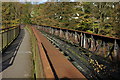 On the old railway bridge, Redbrook