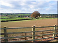 Pipeline installed and fences mended