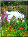 The pond in Delgaty Castle garden