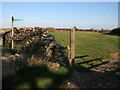 Belvoir Gallops Waiting Paddock