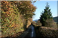 Country lane near Newchapel