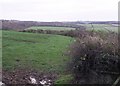 Ogbeare plantations from the north