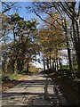 Road to Langdon Cross at Stenhill