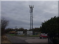 Telephone mast on the edge of Wem Industrial Estate