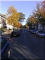TQ4085 : Autumn in Lorne Road Forest Gate by Mike Richardson