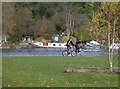 Activity along the Thames