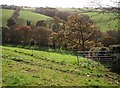 Valley near West Peeke