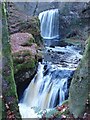 NS4604 : Dalcairnie Waterfall (2) by David Hamilton