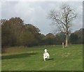 Pasture land near Chelmarsh