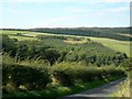 Woods Near Garryhorn