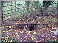 Rabbit warren on the bridleway