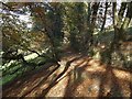 Footpath to Boytonbridge