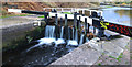 Sheffield and Tinsley Canal lock gates #3