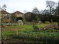 Allotments - Stonegate Road