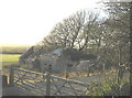 Ruined former farm buildings at Ty Canol