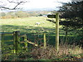 Footpath to East Nubbock