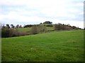 Hill near Llwynmadoc Farm