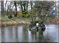 Village Pond, Clawddnewydd